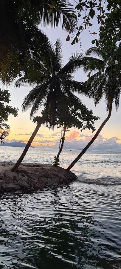 Harmony Self-Catering Apartments Beau Vallon  Extérieur photo
